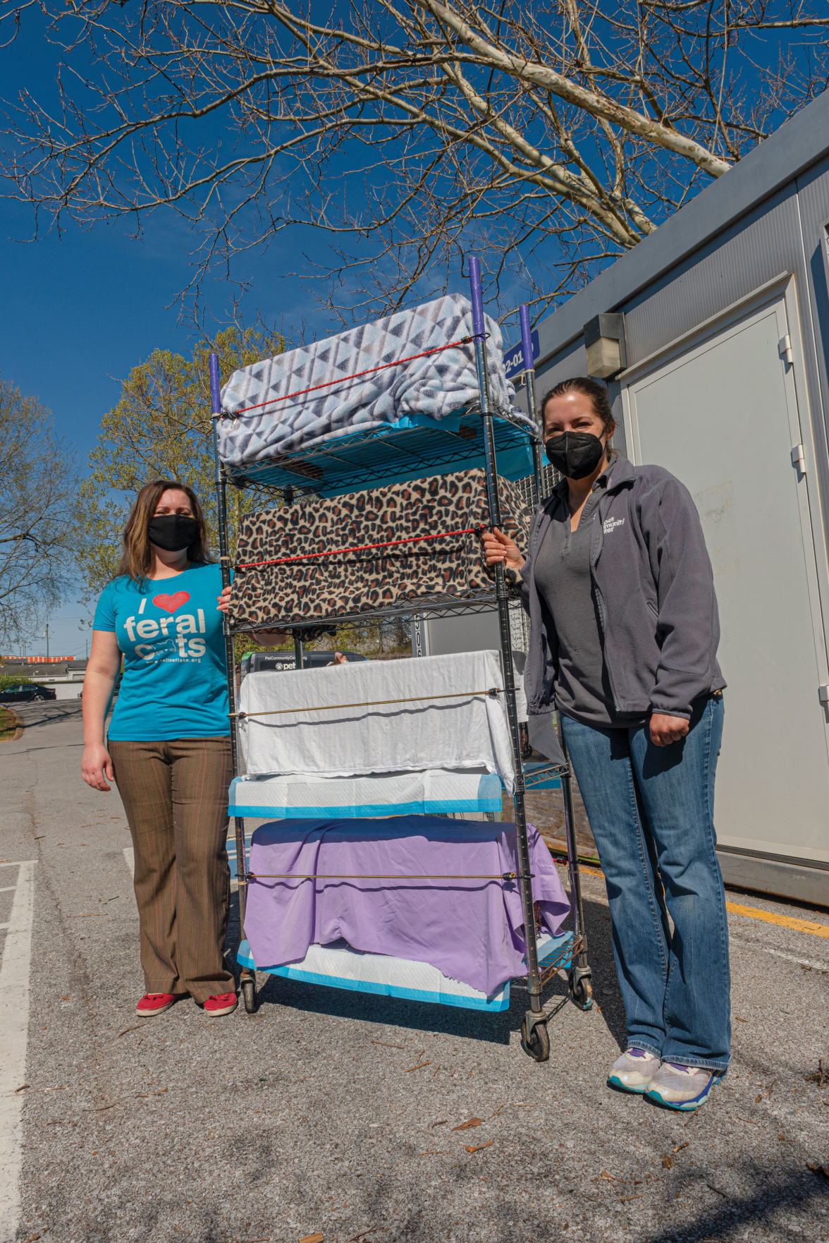 Strays at Large: Meet the People Stemming the Tide of Nashville’s Free-Roaming Cats